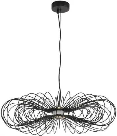 Подвесной светильник светодиодный Lumion Camomile 8301/10L черный, металл/акрил LED 9W 3000K 220V (на проводе)