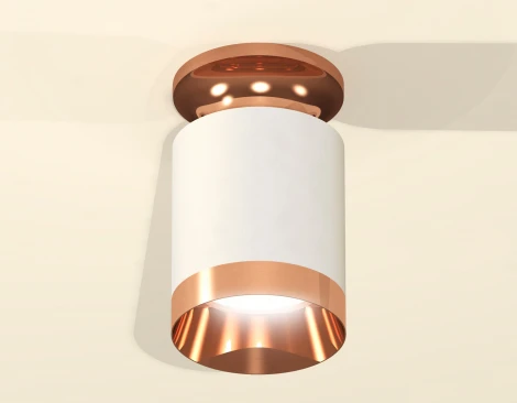 Накладной точечный светильник Ambrella Techno Spot XS6301200 (220V, круглые)