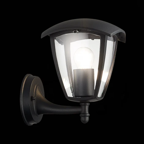 Настенный фонарь уличный ST Luce Sivino SL081.401.01