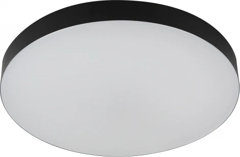 Потолочный светильник круглый светодиодный ЭРА Relict 48 SPB-6-60 4К BK (220V, круглые)