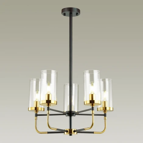 Потолочная люстра Odeon Light Novas 4816/5