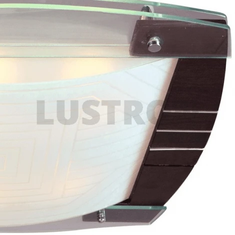 Потолочный светильник MW-Light Чаша 2020106
