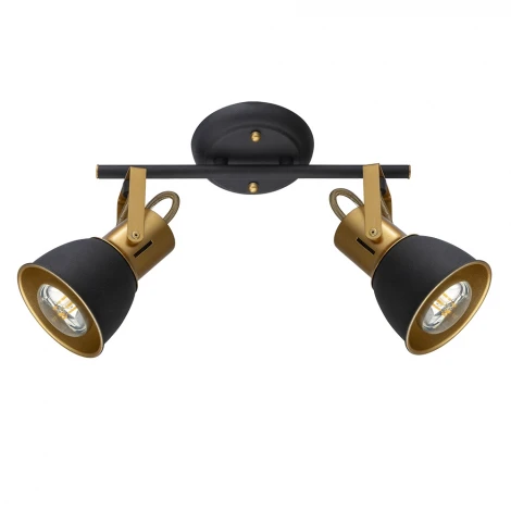 Спот на штанге Arte Lamp Jovi A1677PL-2GO (220V)