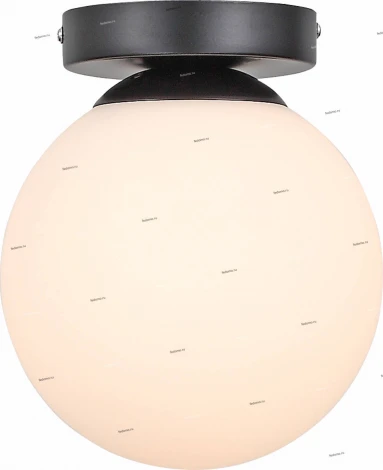 Настенно-потолочный светильник ST Luce Acini SL717.401.01