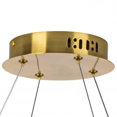 Подвесной светильник светодиодный Lightstar Vidare 699063 (220V, на тросе)