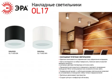 Точечный светильник ЭРА OL17 GX53 BK OL17 GX53 BK