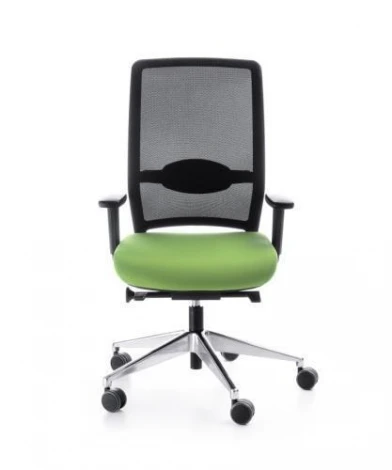 Кресло Veris Net 101SFL Profim Натуральная кожа S-10