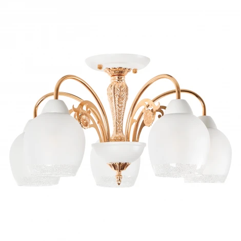 Потолочная люстра MyFar Nika MR1671-5C (220V)