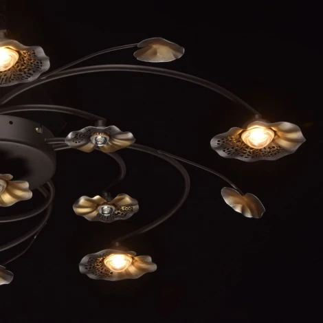 Потолочная люстра MW-Light Адриатика 280011611