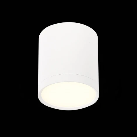Накладной точечный светильник ST Luce Rene ST113.532.05 (LED, 220V, круглые)