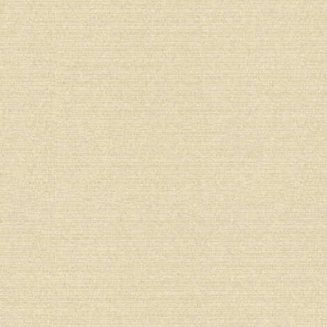 Обои виниловые Rasch Maximum XIV 949926 10 x 1,06 м