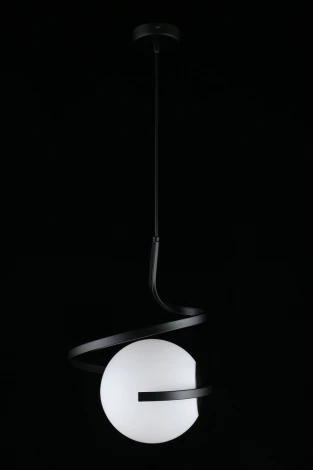 Подвесной светильник Aployt Dezire APL.333.06.01 (220V, на проводе, шар)