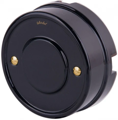 Комплект винтов для распределительной коробки или TV-розетки 2 шт. (золото) Werkel WL18-22-01 (a038396)