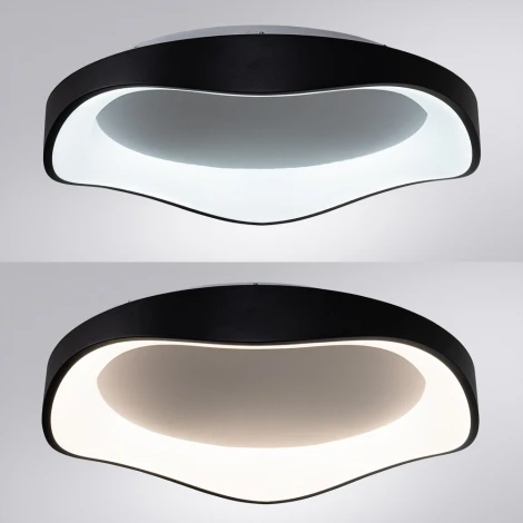 Потолочный светильник Arte Lamp A3085PL-56BK