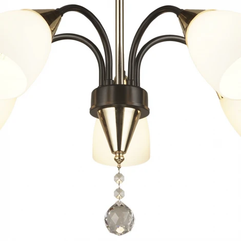 Потолочная люстра Wedo Light Tasita 66613.01.15.05