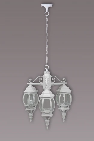 Уличный светильник подвесной Oasis Light AMERICA S 83470S/3 W