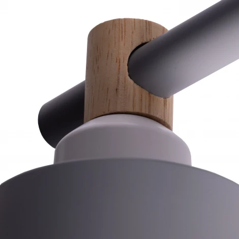 Потолочная люстра на штанге Ritter Volante 52444 1