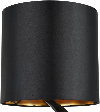 Интерьерная настольная лампа Maytoni Nashorn MOD470-TL-01-B