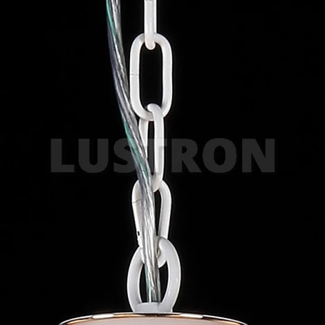 Подвесная люстра Maytoni Elegant 24 ARM376-05-W