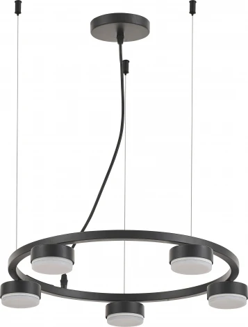 Подвесной светильник Rivoli Leontina 4136-305 (220V, на тросе)