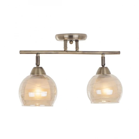 Настенно-потолочный светильник IDLamp Lia 844/2PF-Oldbronze