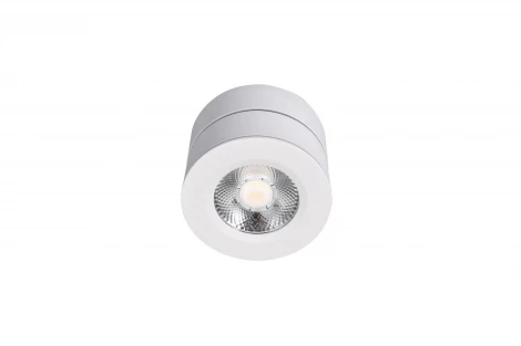 Накладной светильник Lucia Tucci LTP LTP-C003-12W-W