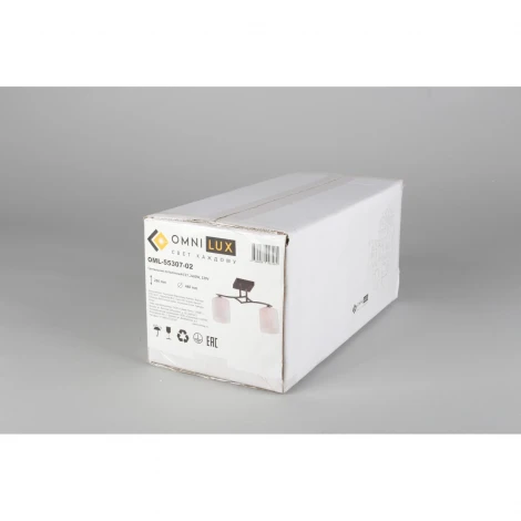 Потолочная люстра Omnilux Pisticci OML-55307-02 (220V)