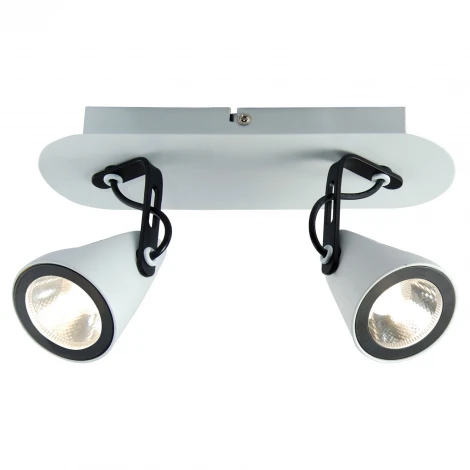 Спот Lussole Loft LSN LSN-4101-02