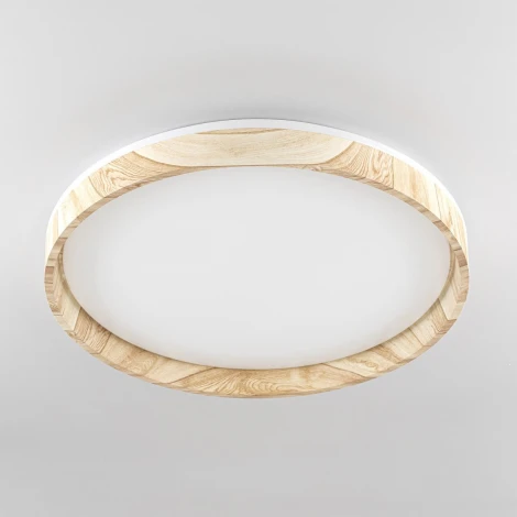 Потолочный светильник RGB круглый светодиодный с пультом Citilux Enzo CL753452G (220V, круглые)