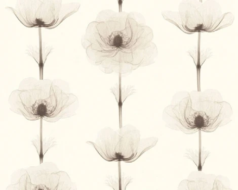 Обои виниловые A.S. Creation X-Ray 34273-2 10,05 x 0,53 м