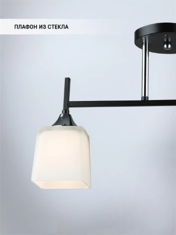 Потолочная люстра Wedo Light Semel WD3640/2C-BK-CR-WT