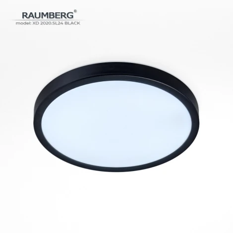 Потолочный светильник светодиодный Raumberg XD2020.SL24 Black