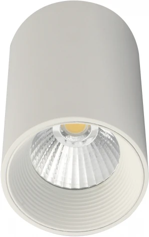 Точечный накладной светильник Escada 20003 20003SMU/01LED SWH (220V, круглые)