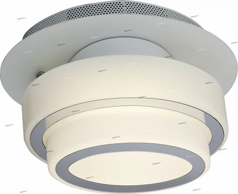 Настенно-потолочный светильник ST Luce Ovale SL546.501.01