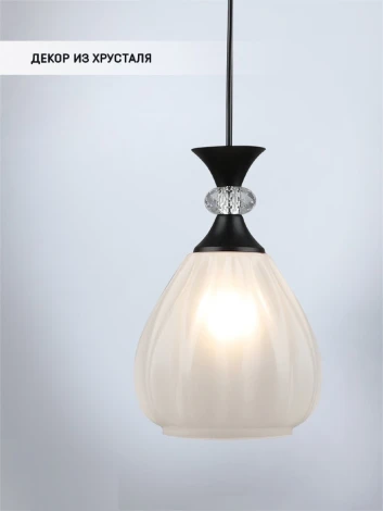 Подвесной светильник Wedo Light Luis WD3627/1P-BK-WT