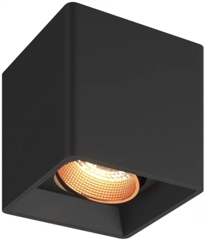 Накладной точечный светильник Denkirs DK3080-BBR