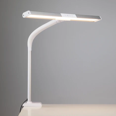 Офисная настольная лампа Eurosvet Melody 80500/1