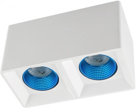 Накладной точечный светильник Denkirs DK3085-WH+CY