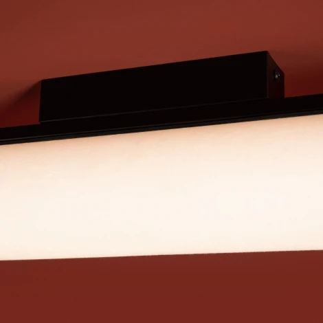 Потолочный светильник Freya Even FR5625CL-L20B