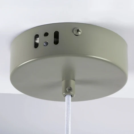 Подвесной светильник LED Lightstar Erbareo 799019 (220V, на проводе, круглые)