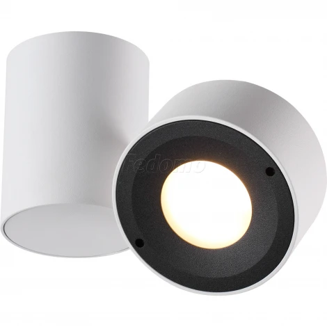 Накладной точечный светильник Odeon Light Tunasio 3588/1C