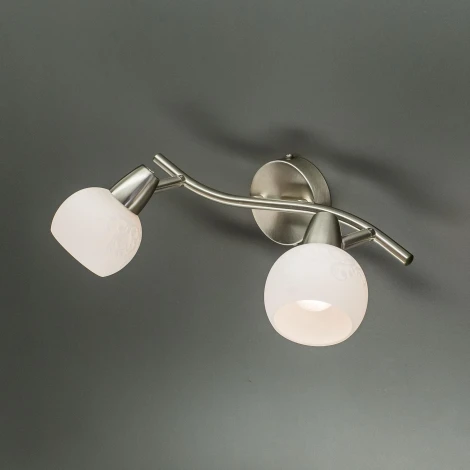 Спот на штанге Citilux Соната CL520521 (220V, цветы, круглые)