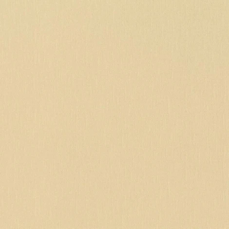 Обои виниловые Rasch Maximum XIV 806021 10 x 1,06 м