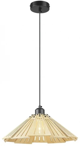 Подвесной светильник Velante 529-716-01 (220V, на проводе)