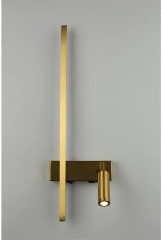 Настенный светильник с выключателем LED со спотом Aployt Reymand APL.342.11.13 (220V)