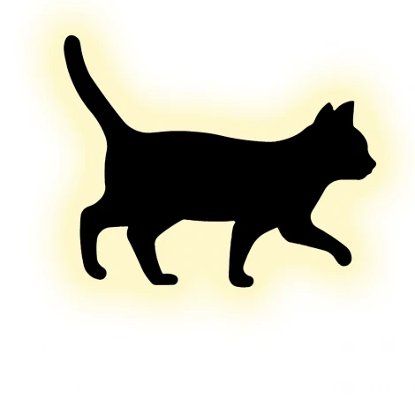 Настенный светильник светодиодные Escada Tom 10209/SG LED 5W Black