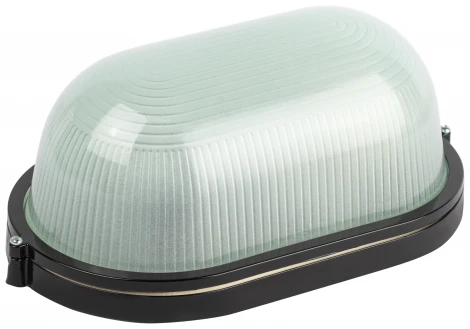 Настенно-потолочный светильник ЭРА НБП 04-100-001 в инд. упаковке НБП 04-100-001 черный