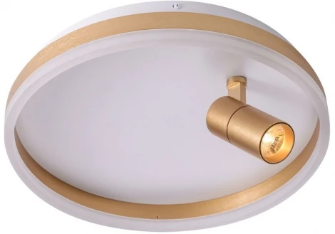 Потолочный светильник круглый со спотом Zortes Raizy ZRS.1888.04 (LED, 220V, круглые)