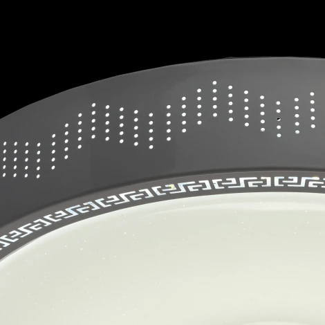 Потолочный светильник MW-Light Ривз 674012001