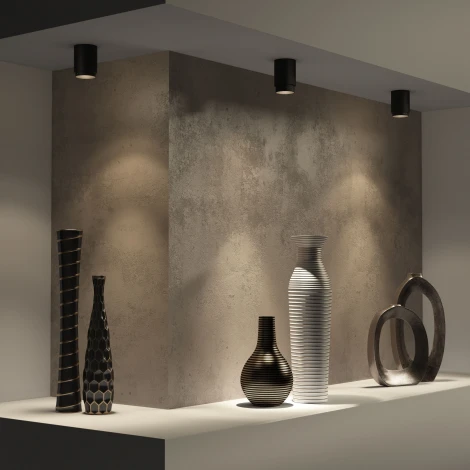 Накладной светильник 10W чёрный Elektrostandard Cors 25032/LED (220V, круглые)